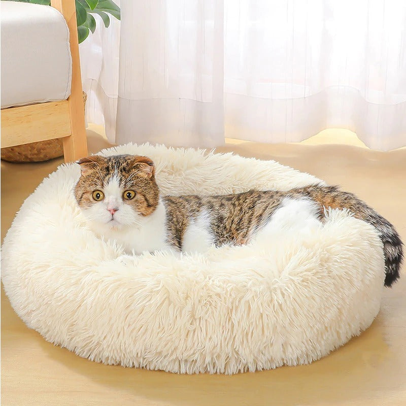 Dog Bed Super Soft Washable Mats Sofa For Dog Basket Pet Cat Bed - Korigi store