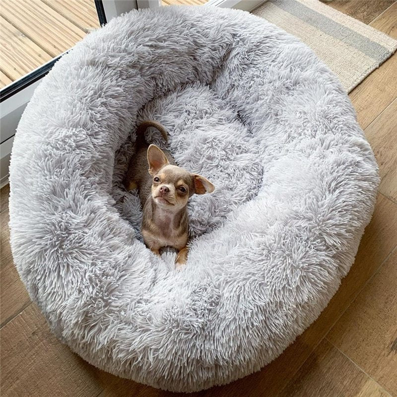 Dog Bed Super Soft Washable Mats Sofa For Dog Basket Pet Cat Bed - Korigi store